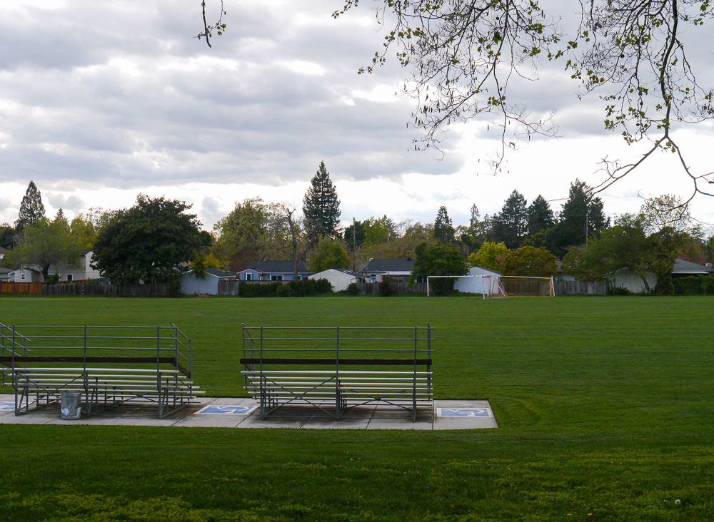 OliviaEmpty Feild