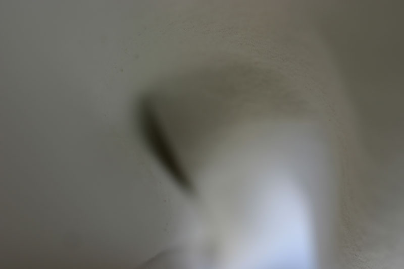 IMG_4569