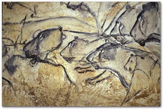 Chauvet Cave - Lionesses