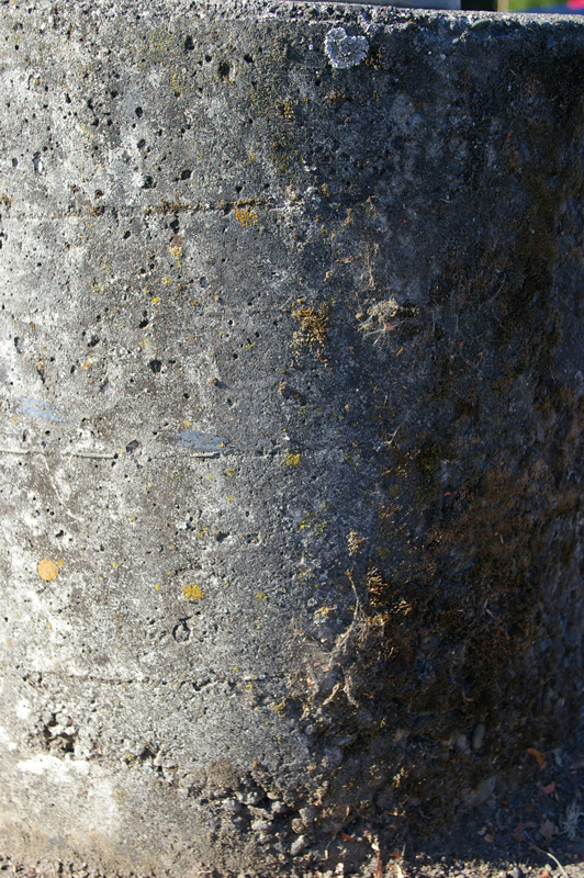 IMGP0153