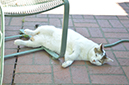 %_tempFileName(1)3SopsUnder%