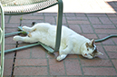 %_tempFileName(2)2StopsUnder%
