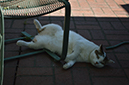%_tempFileName(5)1StopOver%