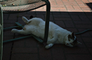 %_tempFileName(6)2StopsOver%