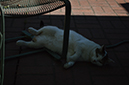 %_tempFileName(7)3StopsOver%