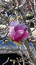 %_tempFileName20131116_135328%5B1%5D%