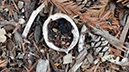 %_tempFileName20131126_150406%5B1%5D%