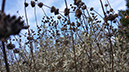 %_tempFileName20131126_150900%5B1%5D%