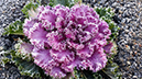 %_tempFileName20131210_092939%5B1%5D%