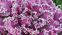 %_tempFileName20131210_093123_Richtone(HDR)%5B1%5D%