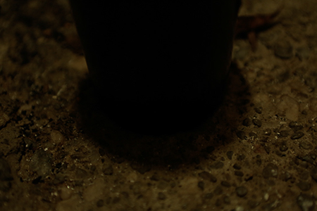 _38A1636