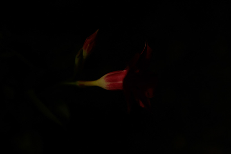 _38A1640