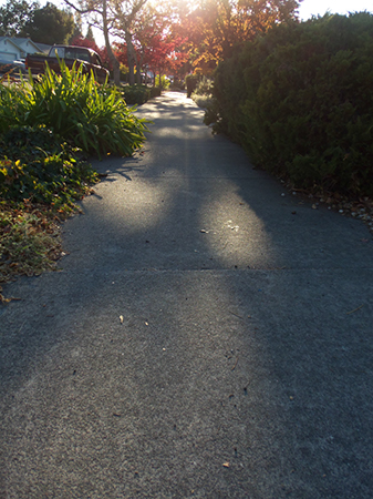 %_tempFileNamephoto%20assign%20shadow%20016%
