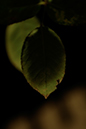 _38A1643