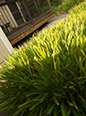 %_tempFileNamephoto%20assign%20shadow%20009%