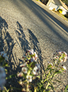 %_tempFileNamephoto%20assign%20shadow%20013%
