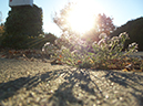 %_tempFileNamephoto%20assign%20shadow%20014%