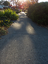 %_tempFileNamephoto%20assign%20shadow%20016%