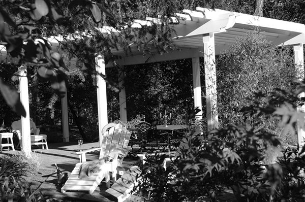 %_tempFileNameAnthony%20Anderson_807262_assignsubmission_file_Backyard%20Arbor%