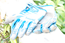 %_tempFileNameNikita%20Ducarroz_774925_assignsubmission_file_IMG_5922%