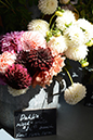 %_tempFileNameLynnette%20Duncan_816249_assignsubmission_file_Lynnetteportfolio%20(11%20of%2016)%