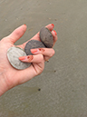 %_tempFileNameWhitney%20Dandridge_816248_assignsubmission_file_Beach%20Treasures%