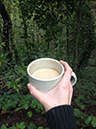 %_tempFileNameWhitney%20Dandridge_816248_assignsubmission_file_Coffee%20walk%