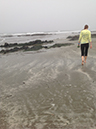 %_tempFileNameWhitney%20Dandridge_816248_assignsubmission_file_Foggy%20morning%