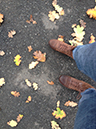 %_tempFileNameWhitney%20Dandridge_816248_assignsubmission_file_Leaves%