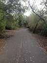 %_tempFileNameWhitney%20Dandridge_816248_assignsubmission_file_The%20path%