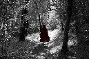 IMG_1419.psd.walkingaway