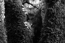 IMG_1456