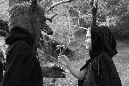 IMG_1484