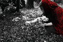 IMG_1505.psd.flowers