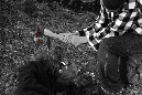 IMG_1576.psd.kill