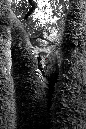 IMG_rrh3