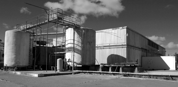 BW Dennis 1