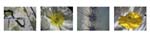 RandomSeries