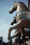 bronzehorses