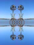 j_dannels