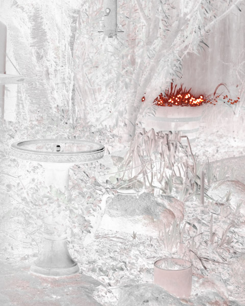 Frosty Red 8X10 MS