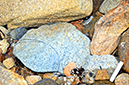 %_tempFileNameAnabel%20Mata_981420_assignsubmission_file_DSC_0824%