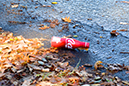 %_tempFileNameAnabel%20Mata_981420_assignsubmission_file_DSC_1075%