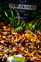%_tempFileNameAnabel%20Mata_981420_assignsubmission_file_DSC_1079%