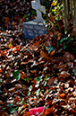 %_tempFileNameAnabel%20Mata_981420_assignsubmission_file_DSC_1081%