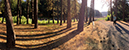 %_tempFileNameFederica%20Rodner_981421_assignsubmission_file_RodnerPhoBook07%