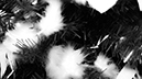 %_tempFileNameLandon%20Balk_981429_assignsubmission_file_IMG_5236_BW%20copy%