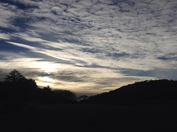 %_tempFileNameMeghan%20Brabant_643842_assignsubmission_file_landscape%20(2)%
