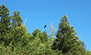 %_tempFileNameJames%20Jarvis_640874_assignsubmission_file_fp_12%
