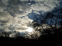 %_tempFileNameMeghan%20Brabant_643842_assignsubmission_file_102_4231%